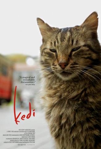 ‘Kedi’ offers unique view on ancient streets of Istanbul