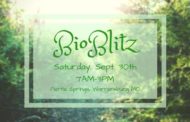 Bio Blitz brings environmental education to the public