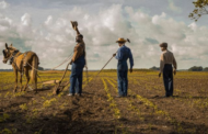 Netflix original film ‘Mudbound’ makes for best of November
